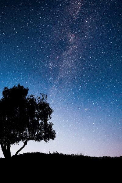 Landscape with night starry sky and silhouette of tree on the hill. Milky way with lonely tree, falling stars. Universe